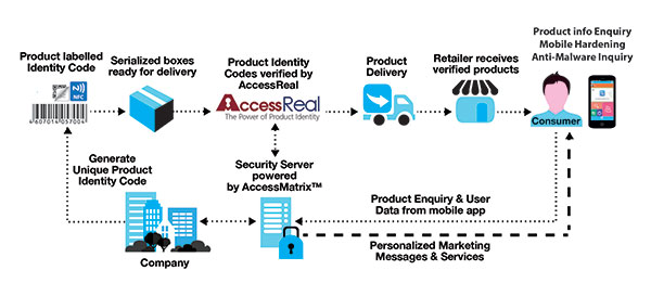 accessreal-diagram-web