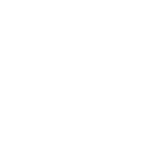Privy Consulting logo